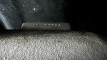 IMG_E7639