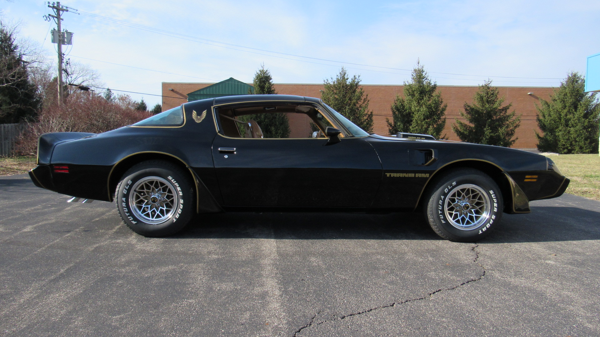 1979 Trans Am, SE Tribute, Auto, Restored, SOLD!