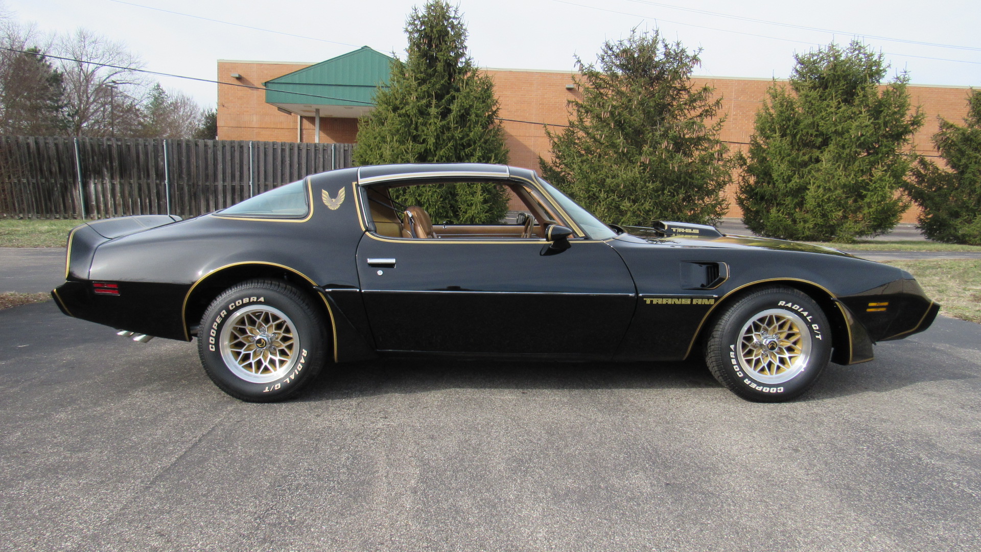 1979 Pontiac TA, Y84 S.E., 4 Speed, Restored, SOLD!