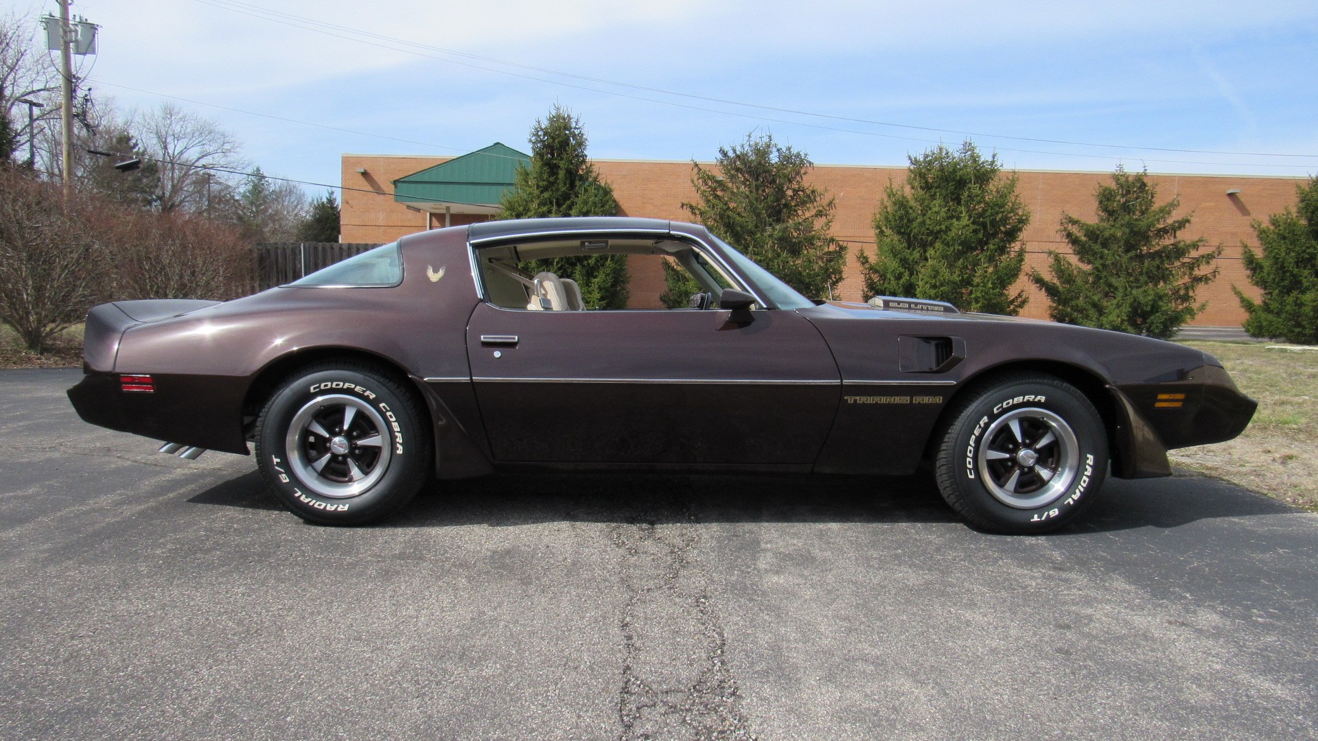 1981 Pontiac TA, 37K Miles, Auto, One Owner, Original, SOLD!