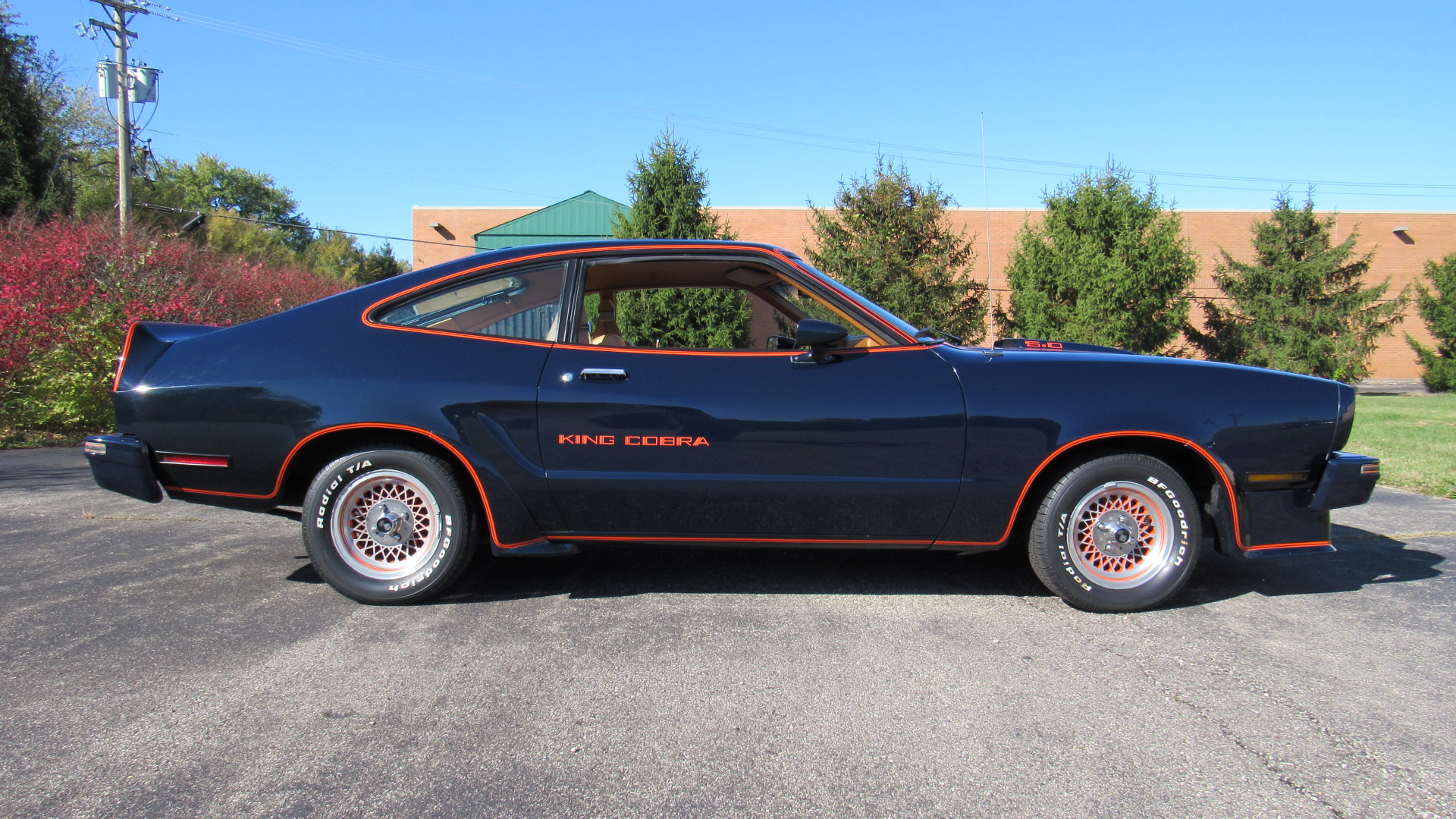 1978 Mustang King Cobra, 5 Speed, 63K Miles, Sold!