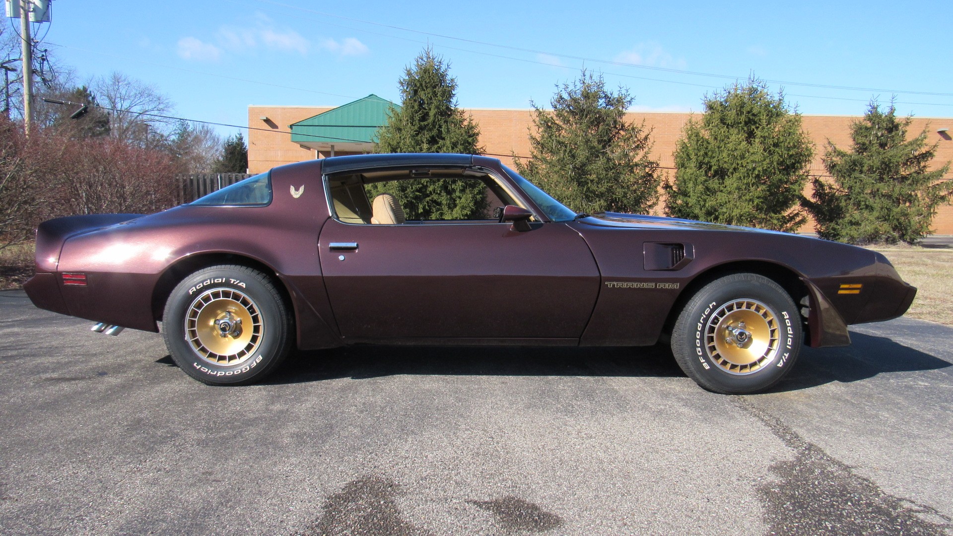 1981 Pontiac TA, 400 Automatic, Restored, SOLD!