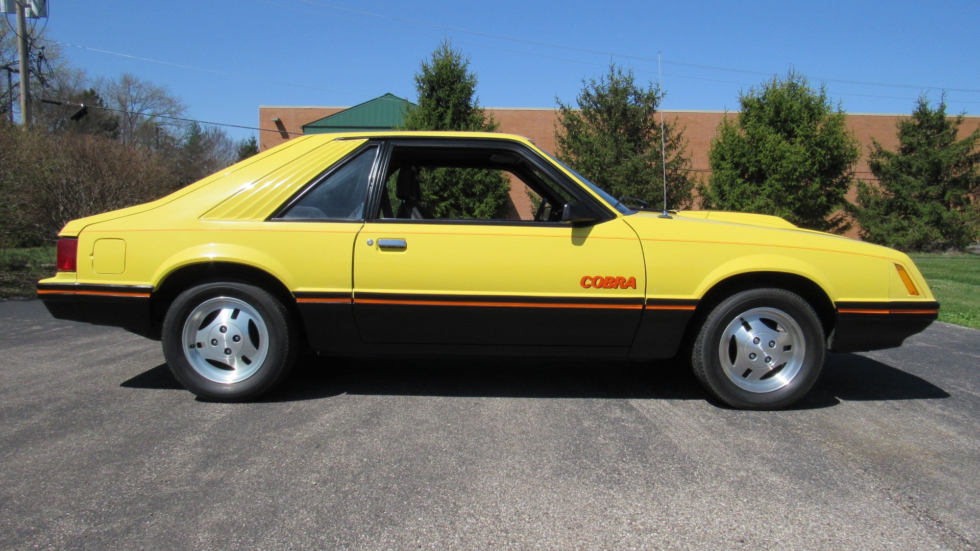 1979 Ford Mustang Cobra, 10K miles, Auto, SOLD!
