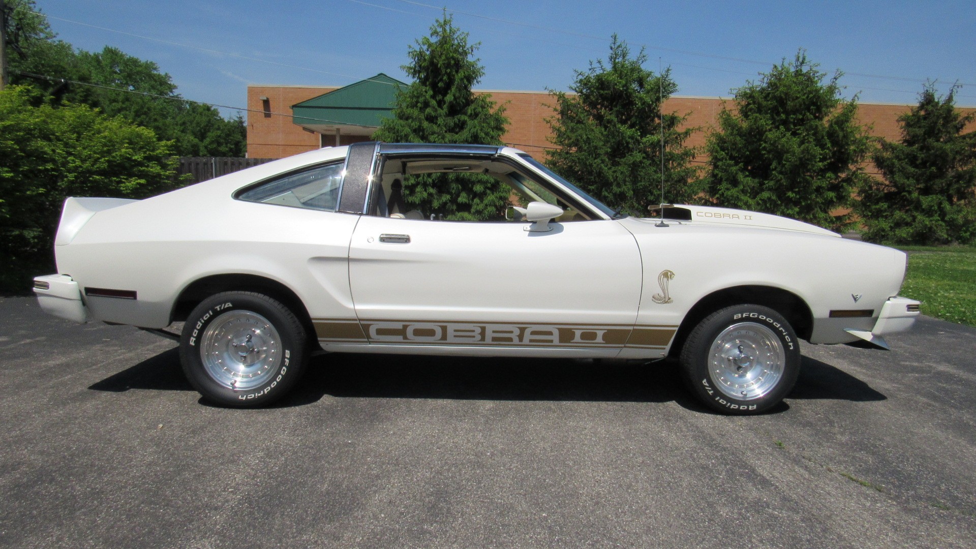1978 Mustang, T Tops, 400 HP, SOLD!