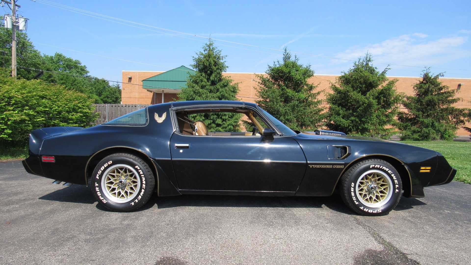 1981 Trans AM SE, 4 Speed, SOLD!