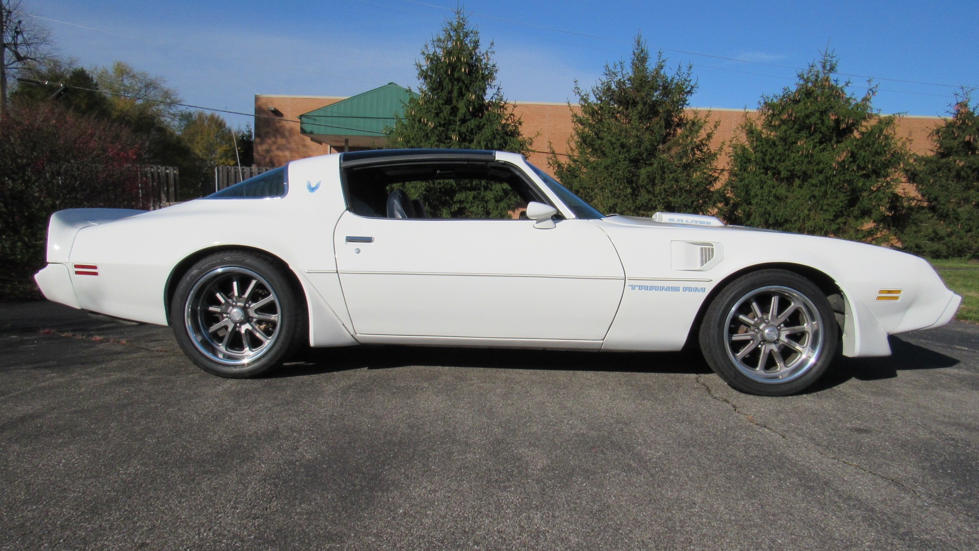 1981 Pontiac TA, 4 Speed, 350 Engine, T Tops, SOLD!