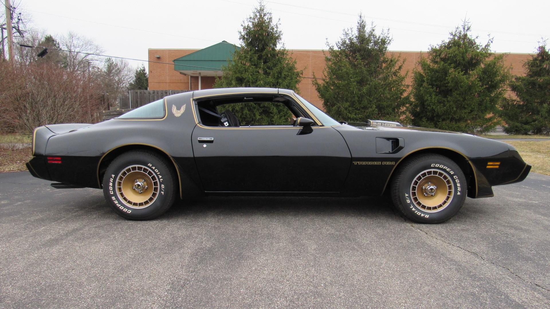 1981 Pontiac TA Special Edition, Y84, Factory 4 Speed, SOLD!