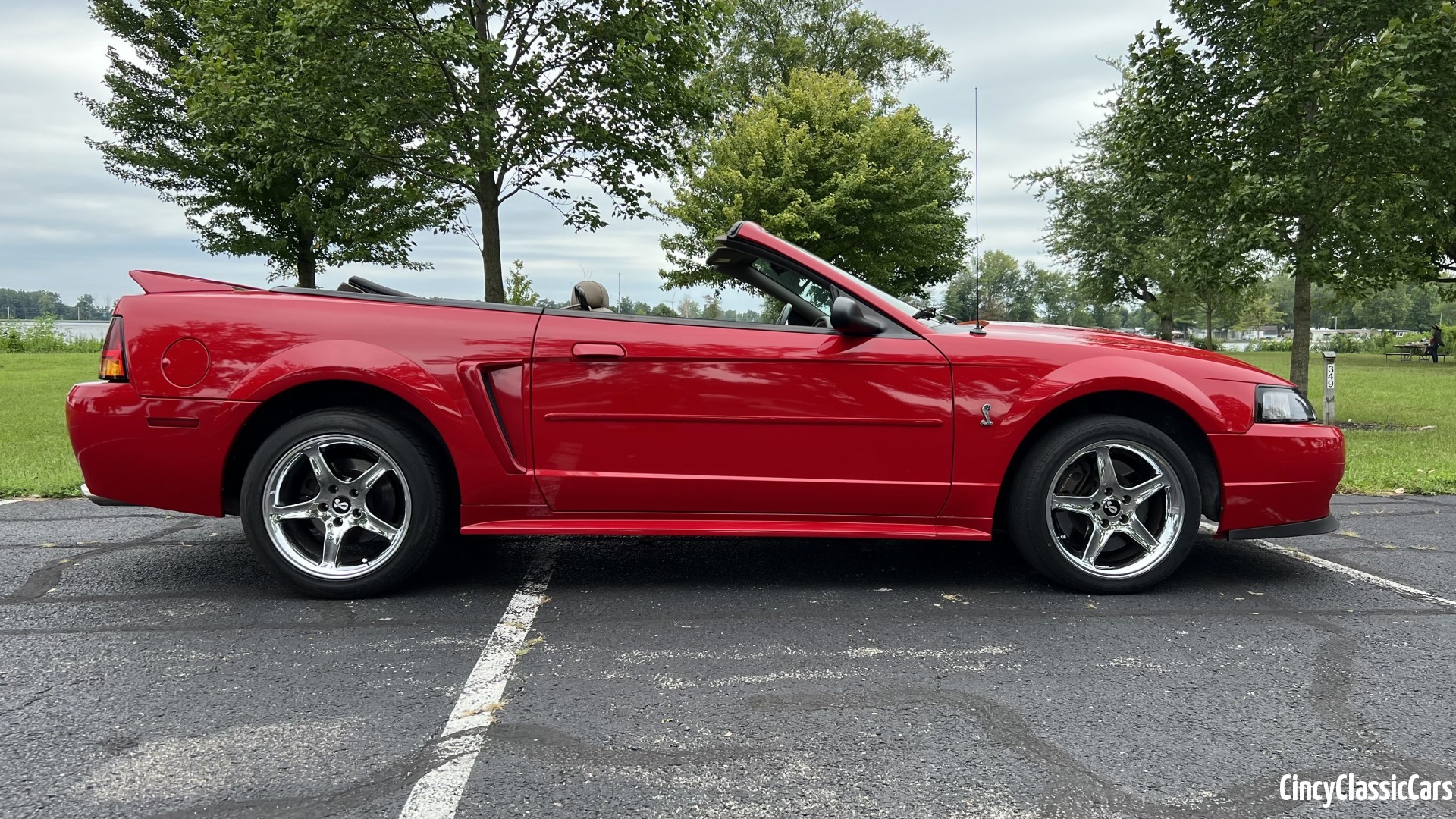 1999 Mustang Cobra Convertible, 5 Speed, Sold!