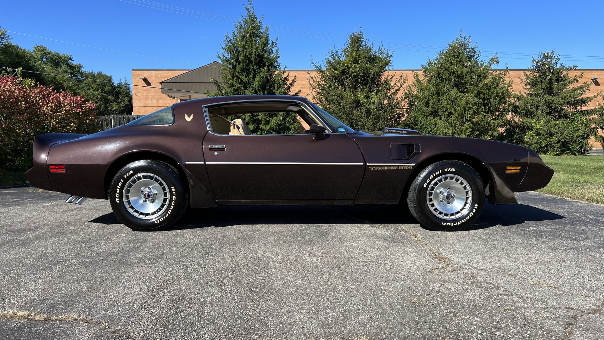 1981 Pontiac TA, 12K Miles, Unrestored, WS6, Sold!