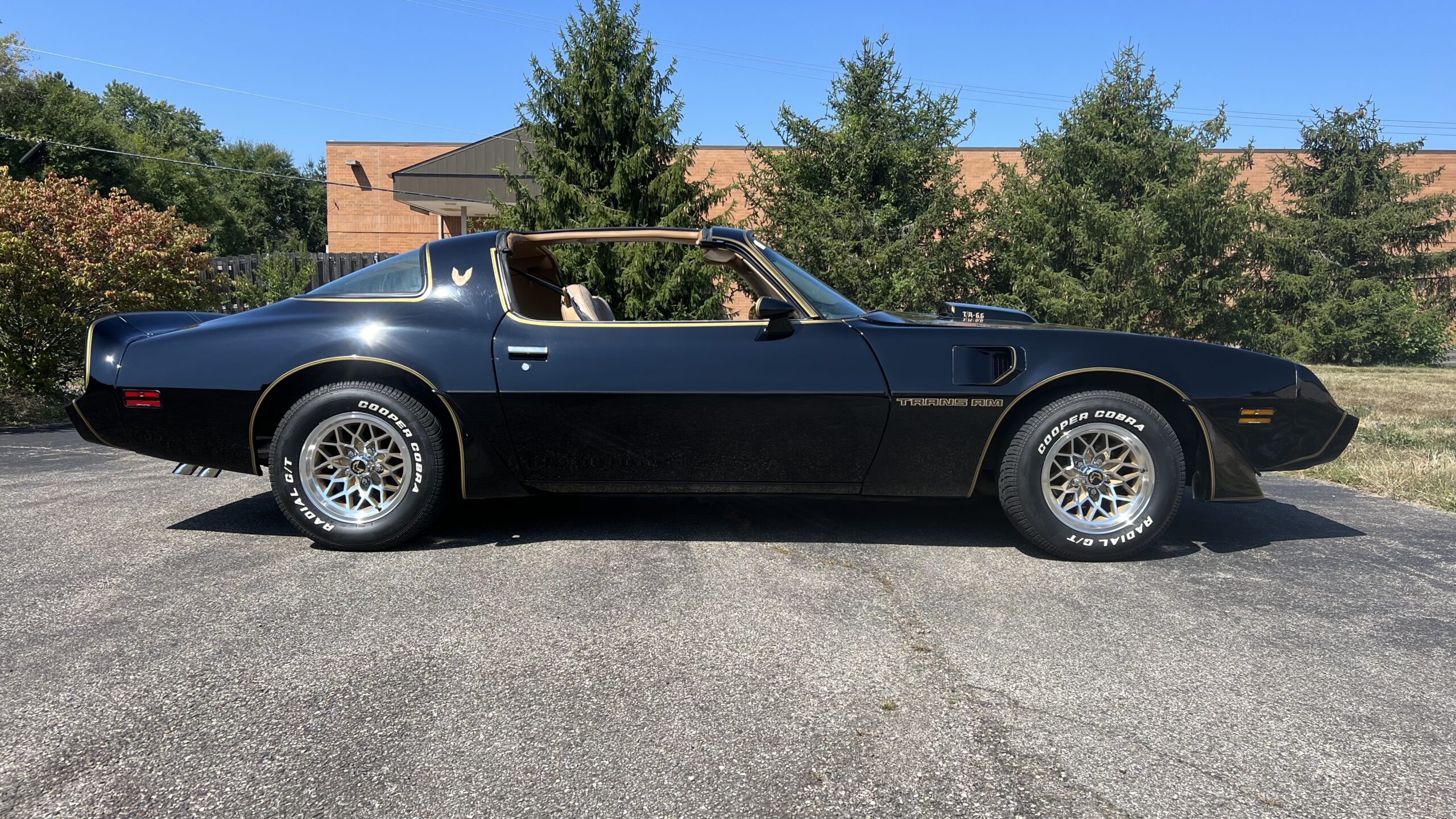 1981 TA SE, Built 400 Engine, 94K Miles, SOLD!