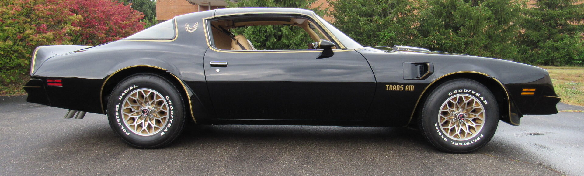 1977 Pontiac TA SE, 4 Speed, W72, 45K Miles, SOLD!