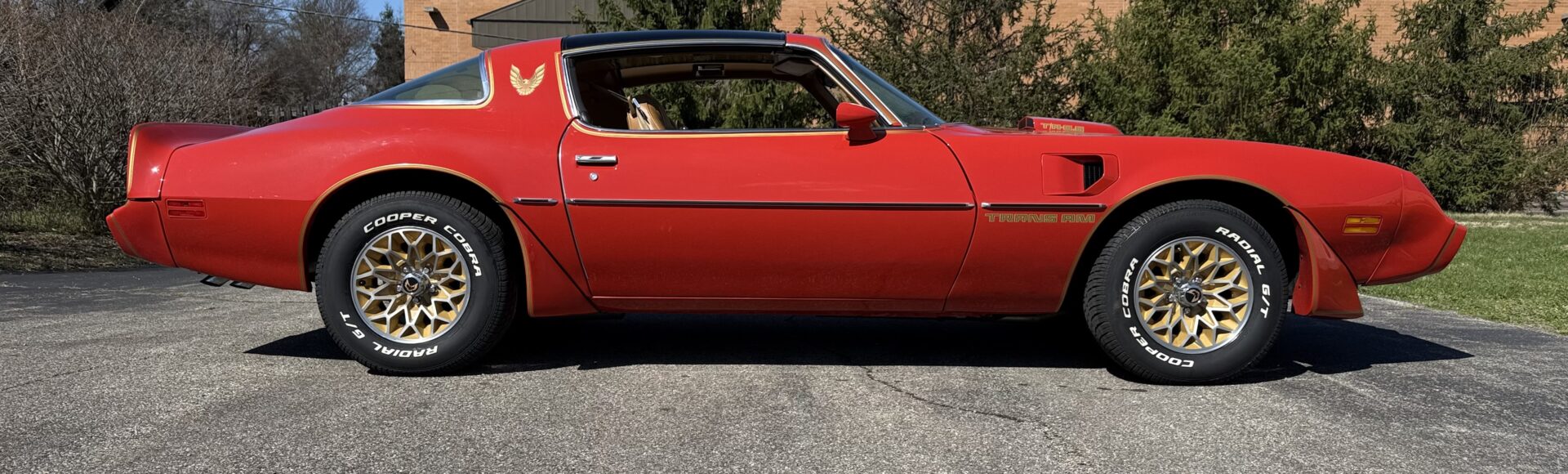 1979 Pontiac TA, Auto Built 403, T Tops, $37,500