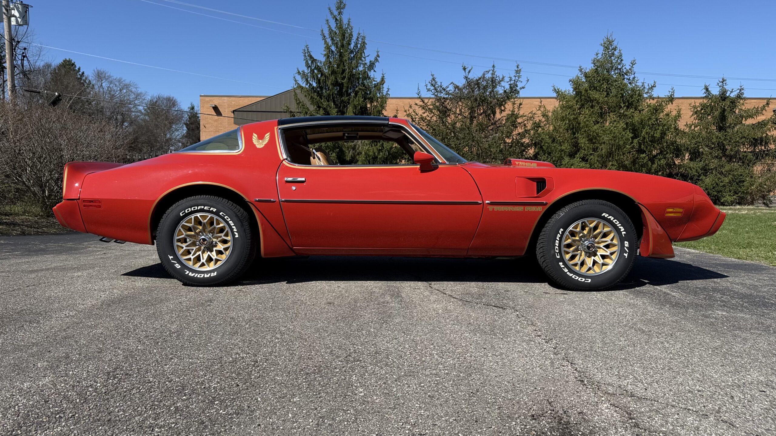 1979 Pontiac TA, Auto Built 403, T Tops, $37,500