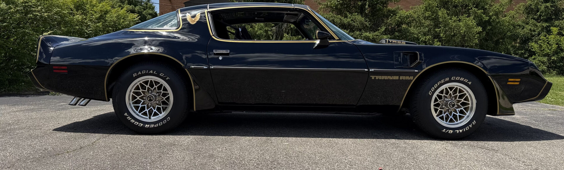 1979 Pontiac TA SE 4 Speed, WS6/W72