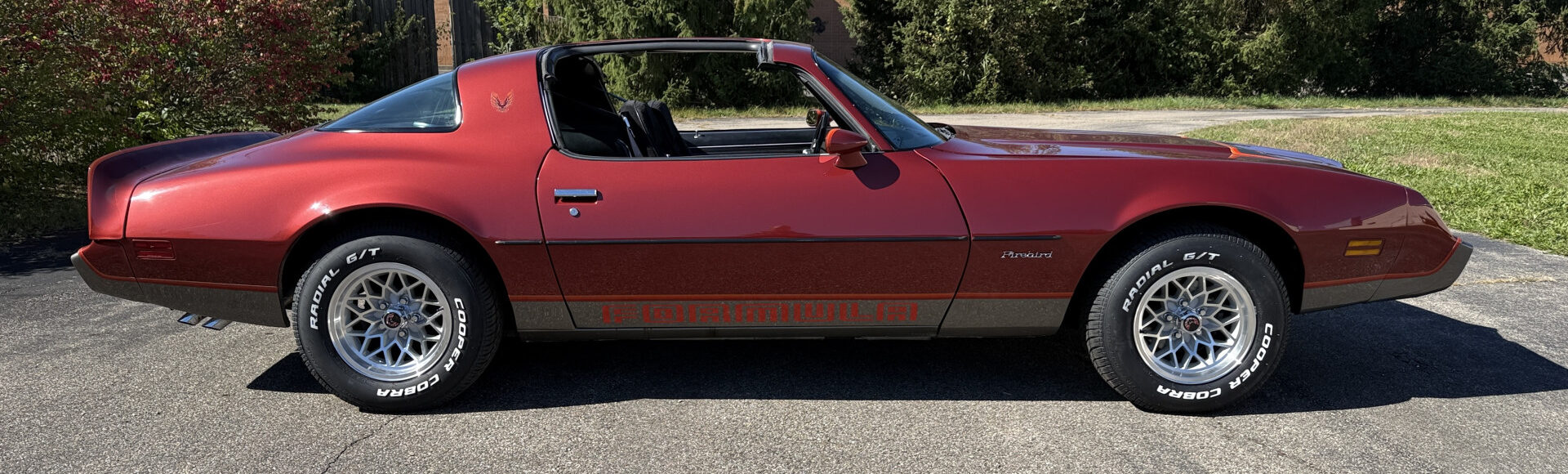 1979 Pontiac Formula, 48K Miles, T Tops, 4 Speed