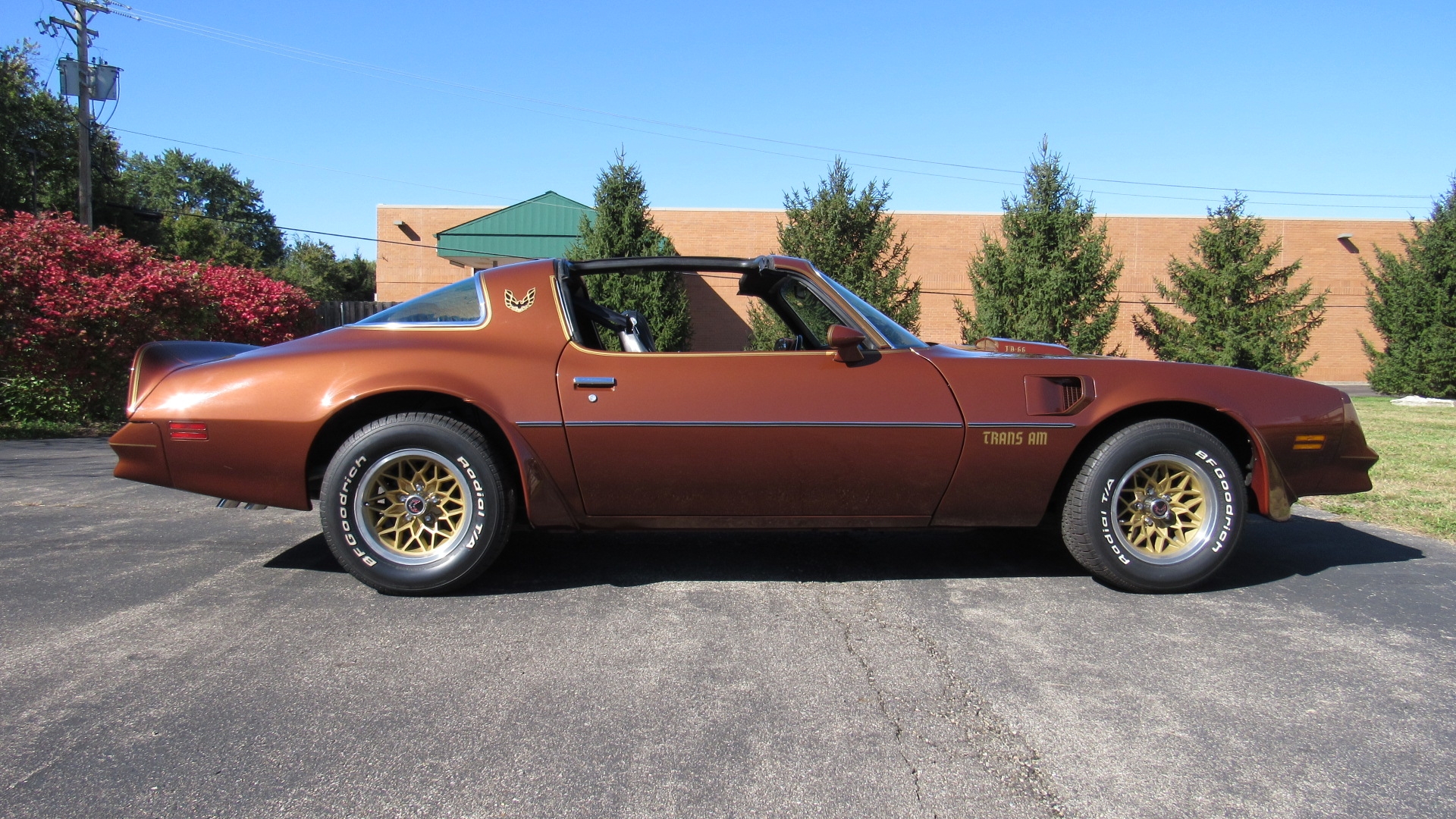 1978 TA, WS6/W72, Rare Brown over Black, Restored, SOLD!