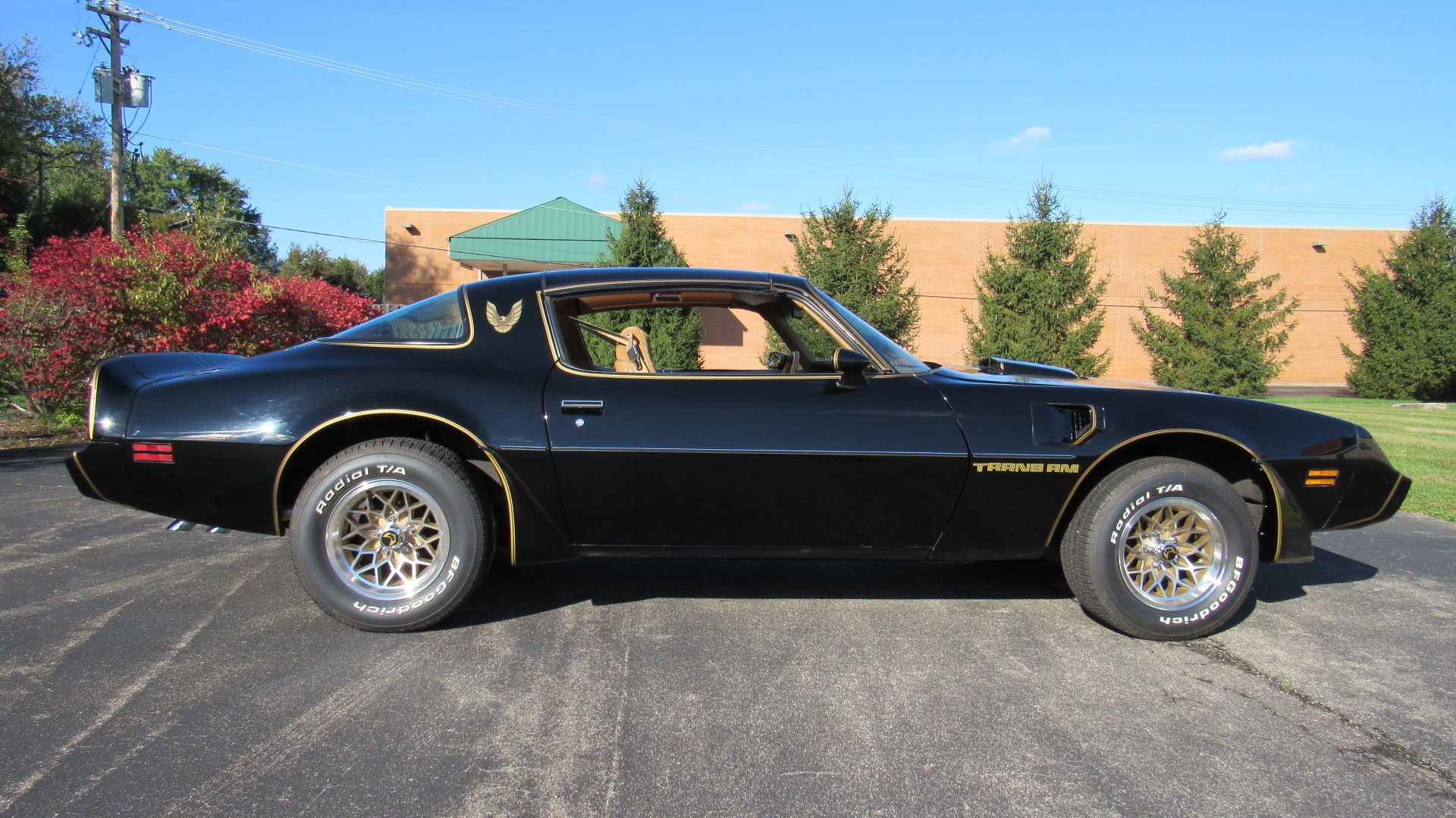 1979 S.E. Trans Am, Y84, 4 Speed, 65K, SOLD!