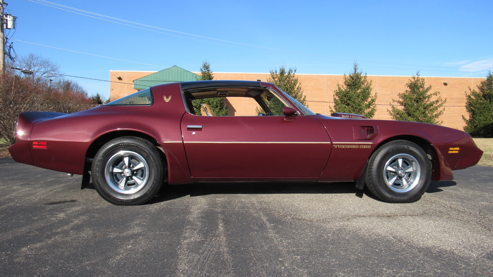 1981 Pontiac Trans Am 4 Speed, SOLD!